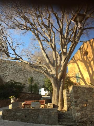 Logement Neuf Centre Du Village Aux Pieds Du Chateau Grimaud Dış mekan fotoğraf